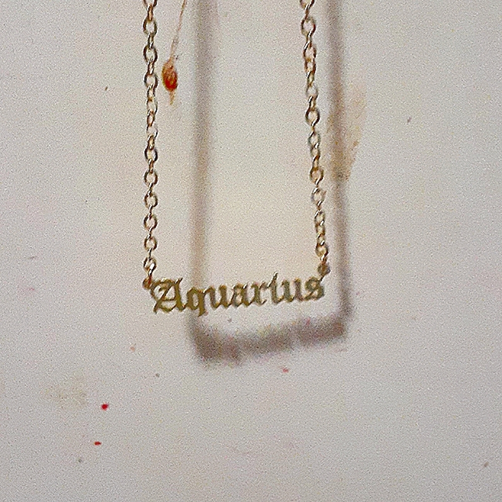 Gold astrological sign necklace.